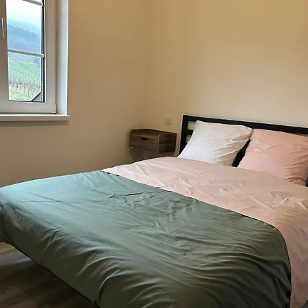 Σπίτι διακοπών Le Du Taennel Scherwiller