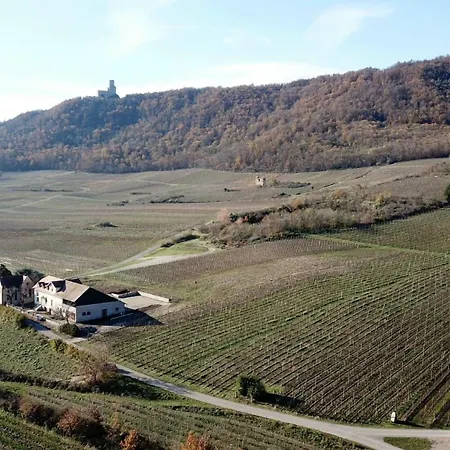 Σπίτι διακοπών Le Du Taennel